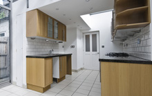 Green Lane kitchen extension leads